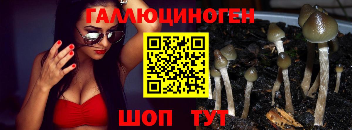 Галлюциногенные грибы Psilocybe  Вход с VPN  Ноябрьск 